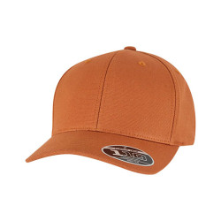 110 Curved Snapback cap - FX9293