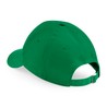 CB20 Kelly Green/White — back