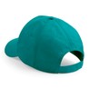 CB10B Emerald — back