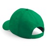 CB10B Kelly Green — back