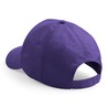 CB10B Purple — back