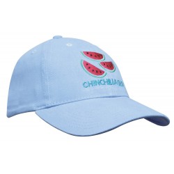4040 - embroidered cap