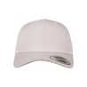 FX 6606 Silver — front
