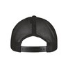 FX 110RA black — back