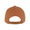FX 9293 Brown — tył