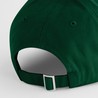 B66 Forest Green — detail